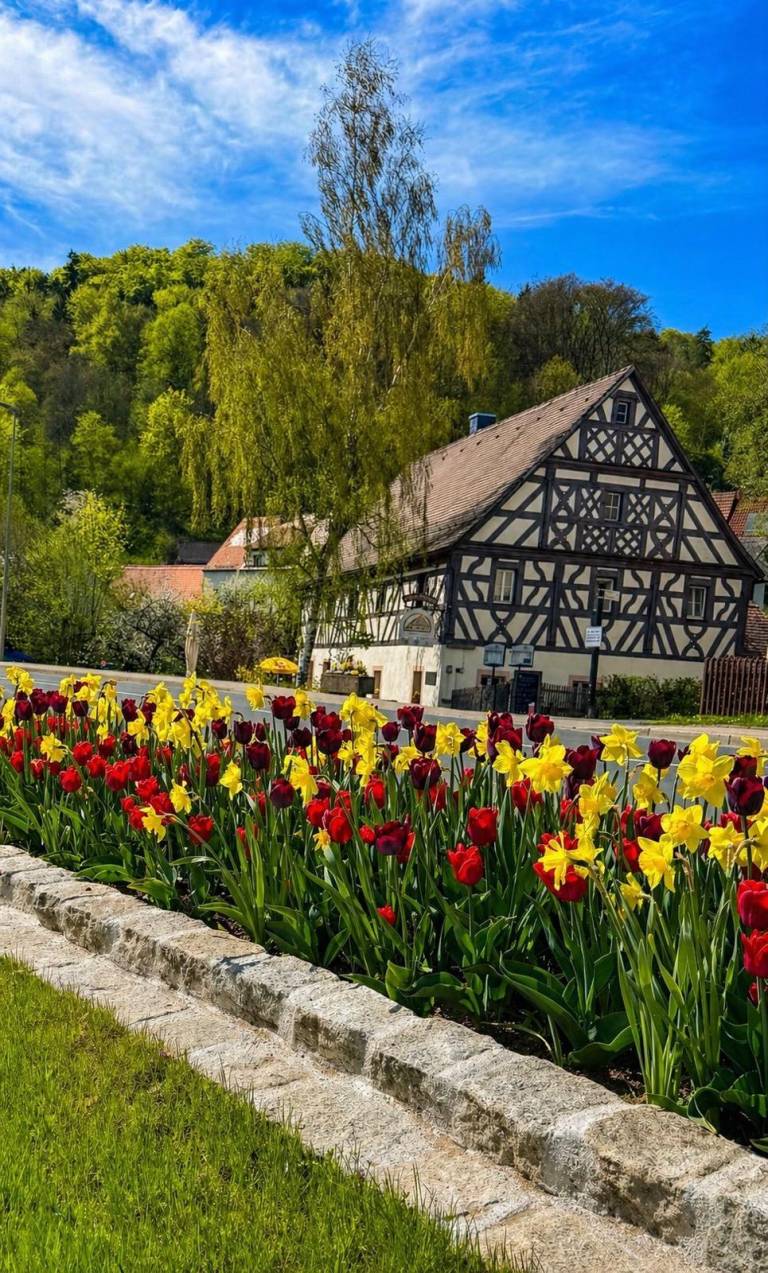 Fachwerkhaus der Zaussenmühle hinter einem Tulpenbeet, im Hintergrund ein bewaldeter Hang